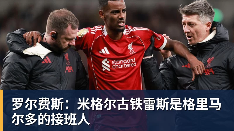 外援阵容一步到位!江苏男篮官宣:与格雷、亨特、汤普森完成签约 - v66体育-v66体育(中国)